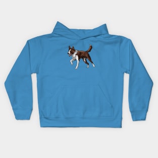 Smooth Coated Border Collie Dog | Chocolate and White Kids Hoodie